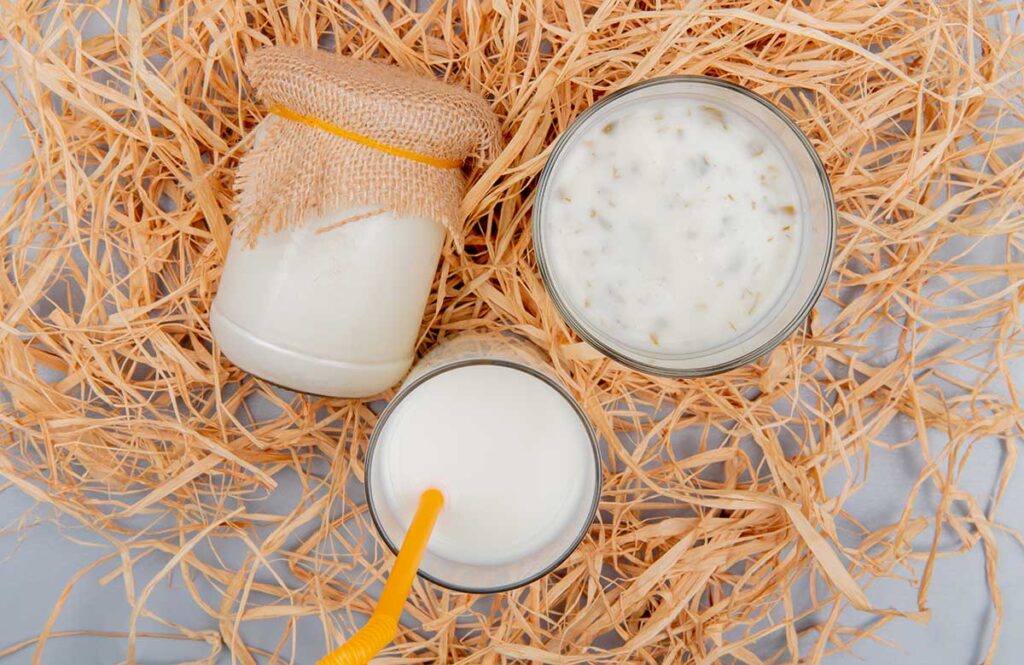 Milk Kefir How to Make and Use it to Lose Weight Plastic Surgery Ace